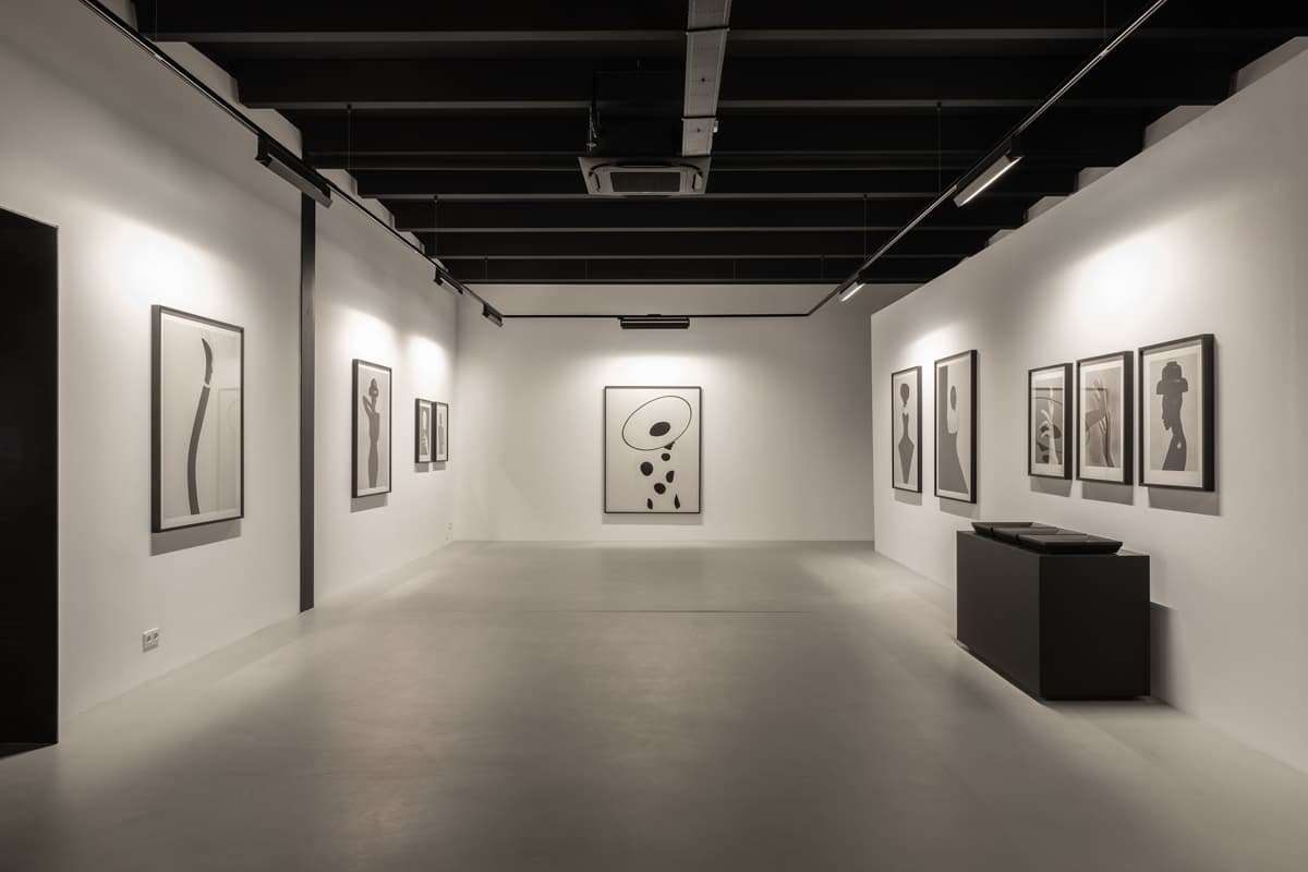 Studio Woudt gallery interior in Alkmaar — fine art photography by Bastiaan Woudt on display