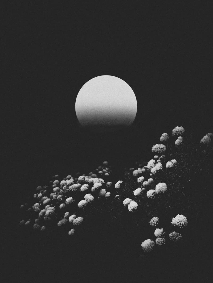 Echo 59 by Bastiaan Woudt, 2025 — Piezography on Awagami