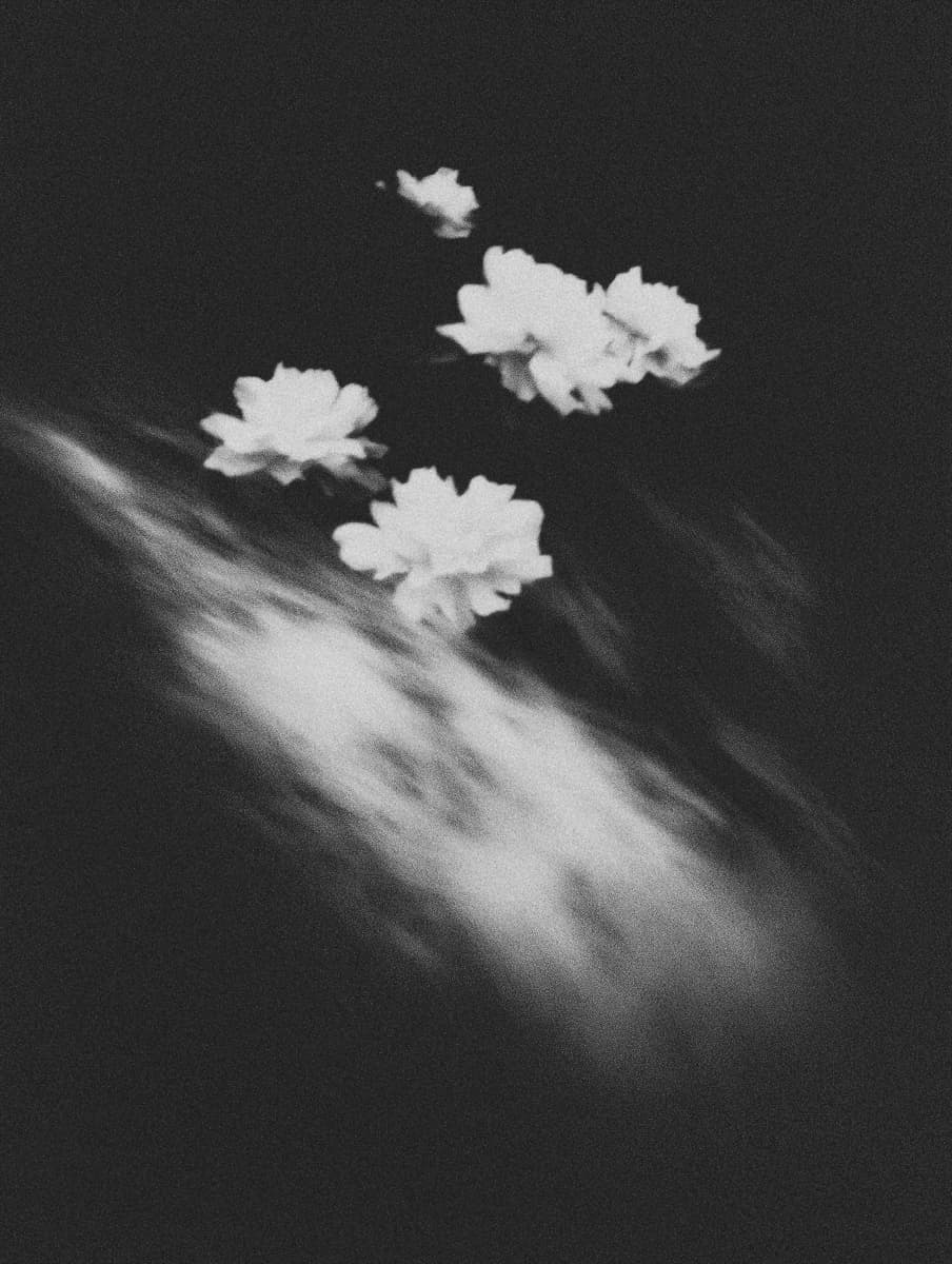 Echo 44 by Bastiaan Woudt, 2025 — Piezography on Awagami