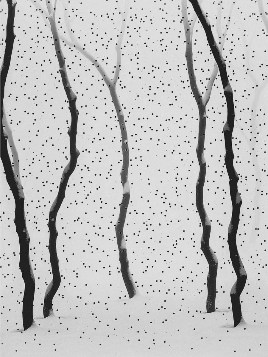 Echo 22 by Bastiaan Woudt, 2024 — Piezography on Awagami