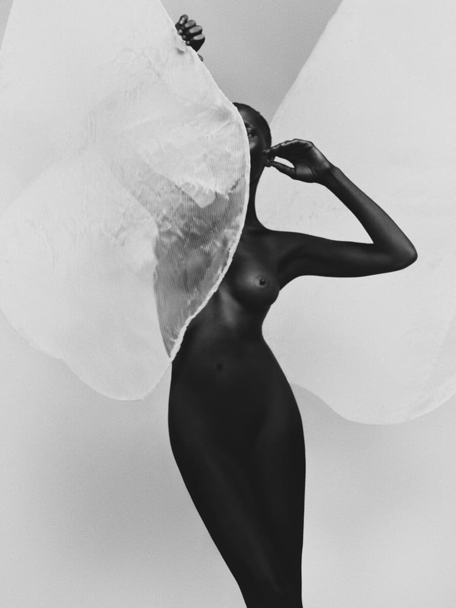 linger by Bastiaan Woudt, 2026 — Archival Pigment Print