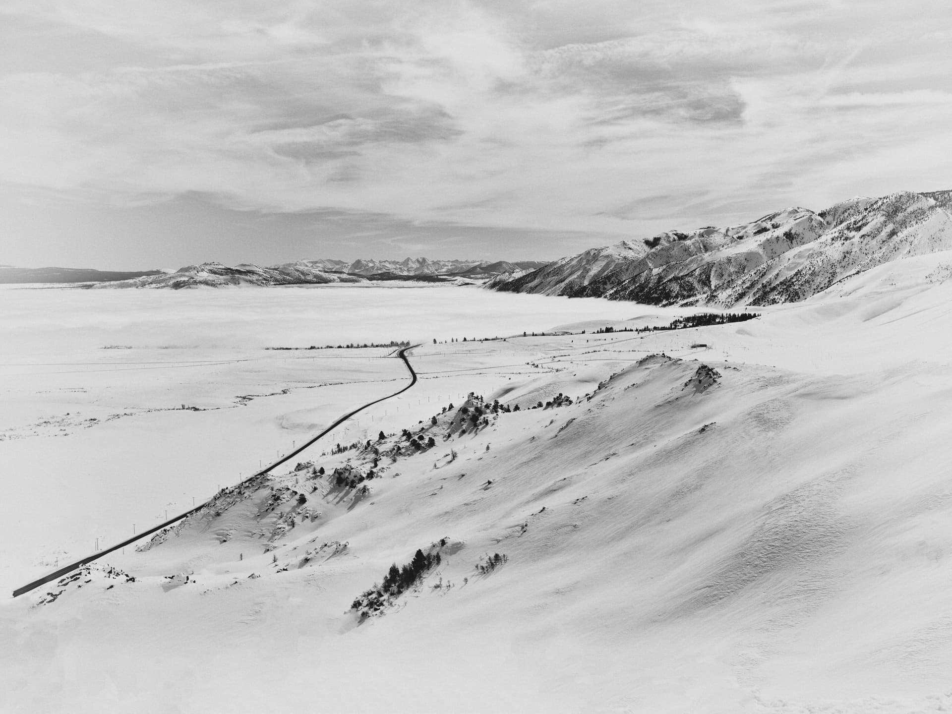 Bishop by Bastiaan Woudt, 2023 — Archival Pigment Print